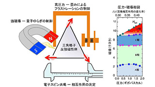 フラストレート磁性体の量子相転移の圧力･磁場制御を実現　三角格子反強磁性体の新しい量子相の発見