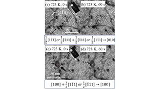 In Situ Observation of Dislocation Loop Behavior During Annealing by WB-STEM in Neutron-Irradiated Reactor Pressure Vessel Steel