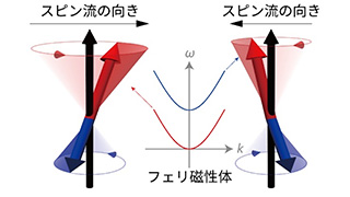 電子スピン歳差運動の回転方向の観測に成功 スピントロニクスにおけるスピン流伝搬機構の微視的解明（プレスリリース）