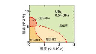 Multiple Superconducting Phases in Novel Spin-Triplet Superconductor UTe2