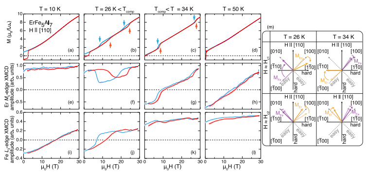 Field-induced magnetic transitions in the highly anisotropic ferrimagnet  ErFe5 Al7 studied by high-field x-ray magnetic dichroism
