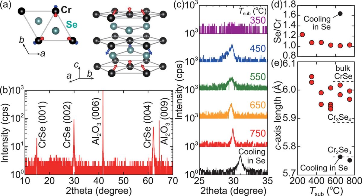 Non-coplanar spin structure in a metallic thin film of triangular lattice antiferromagnet CrSe