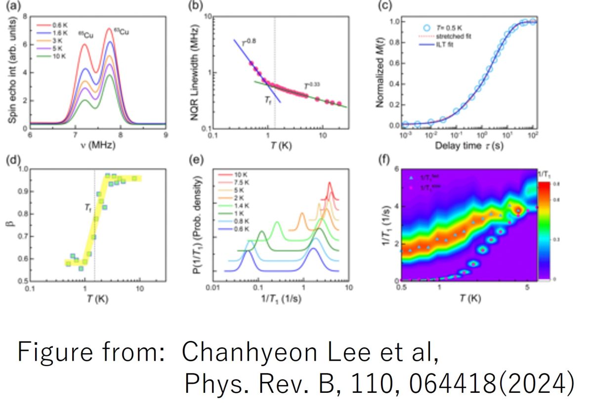 Dirac spinons intermingled with singlet states in the random kagome antiferromagnet YCu3⁢(OD)6+?⁢Br3−? (?=0.5)